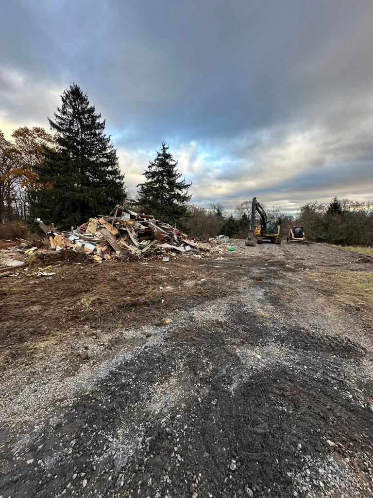 Excavator Clearing Land